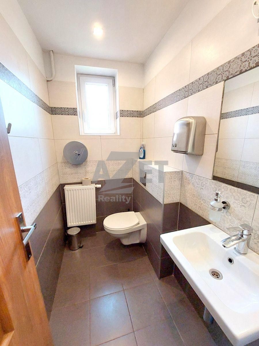 Prodej komerčního prostoru 280 m² - foto 13