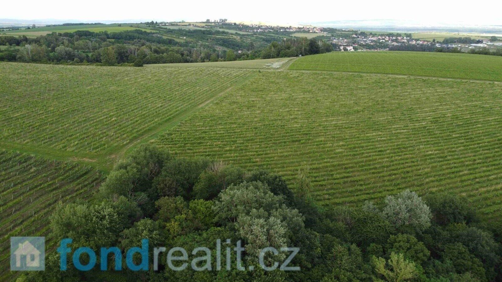 Prodej nemovitosti 27055 m² - foto 4