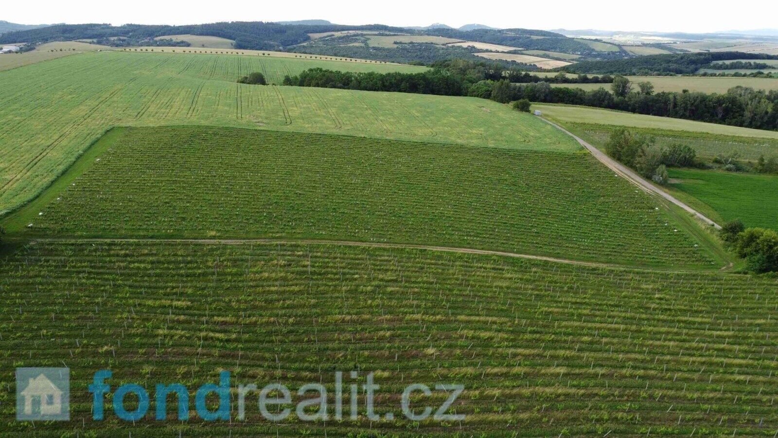 Prodej nemovitosti 27055 m² - foto 3