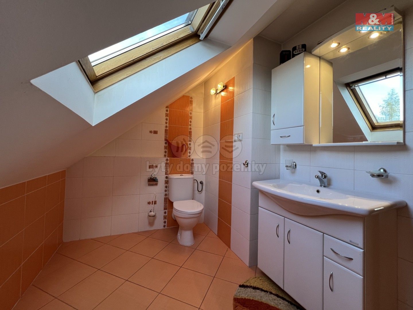 Prodej komerčního prostoru 235 m² - foto 8