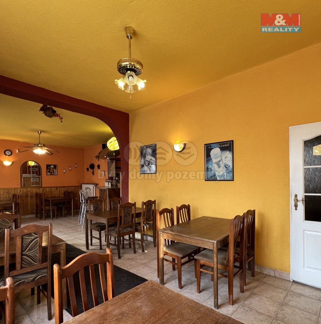Prodej komerčního prostoru 235 m² - foto 10
