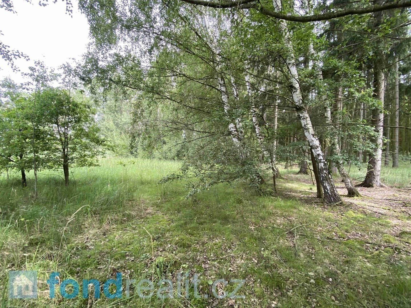 Prodej nemovitosti 1639 m² - foto 2