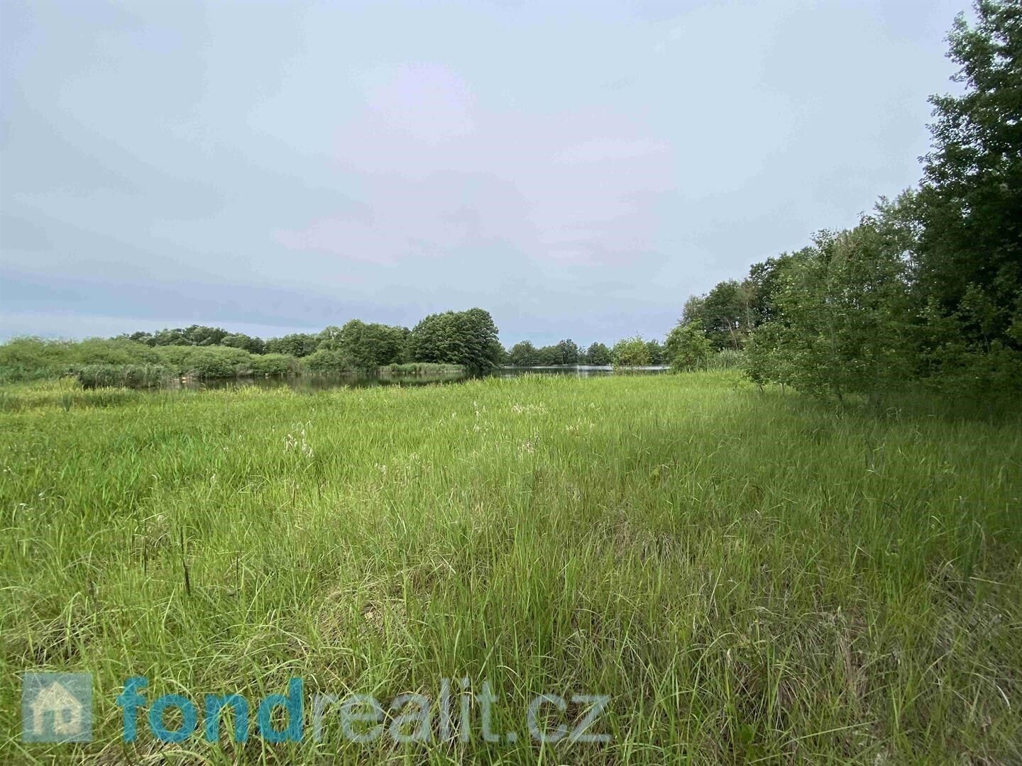 Prodej nemovitosti 1639 m² - foto 6