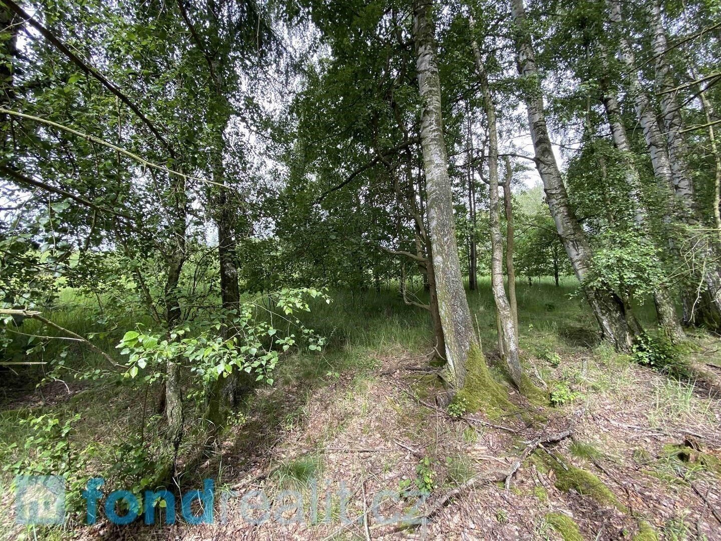 Prodej nemovitosti 1639 m² - foto 3