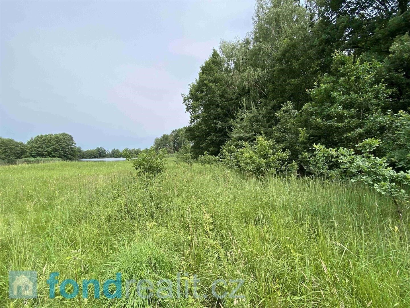 Prodej nemovitosti 1639 m² - foto 4