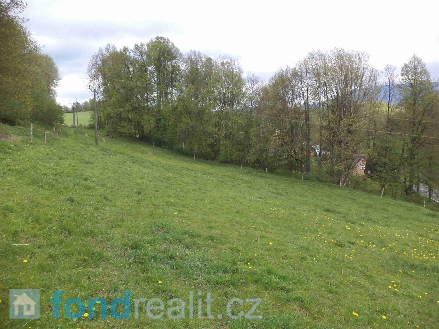 Prodej nemovitosti 12271 m² - foto 3