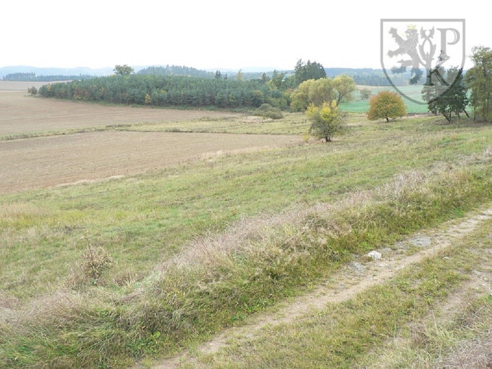 Prodej pozemku 2633 m² - foto 4