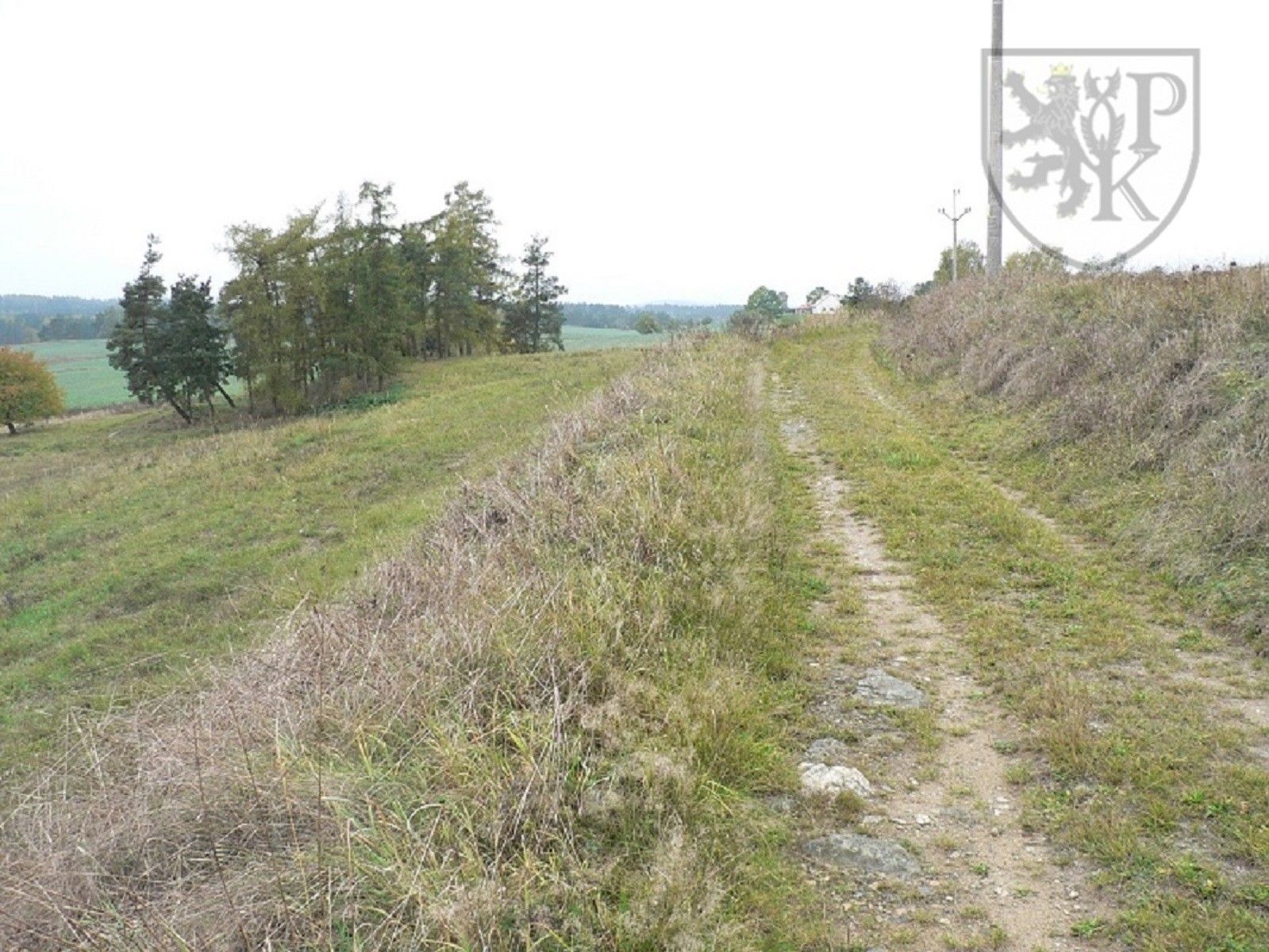 Prodej pozemku 2633 m² - foto 10