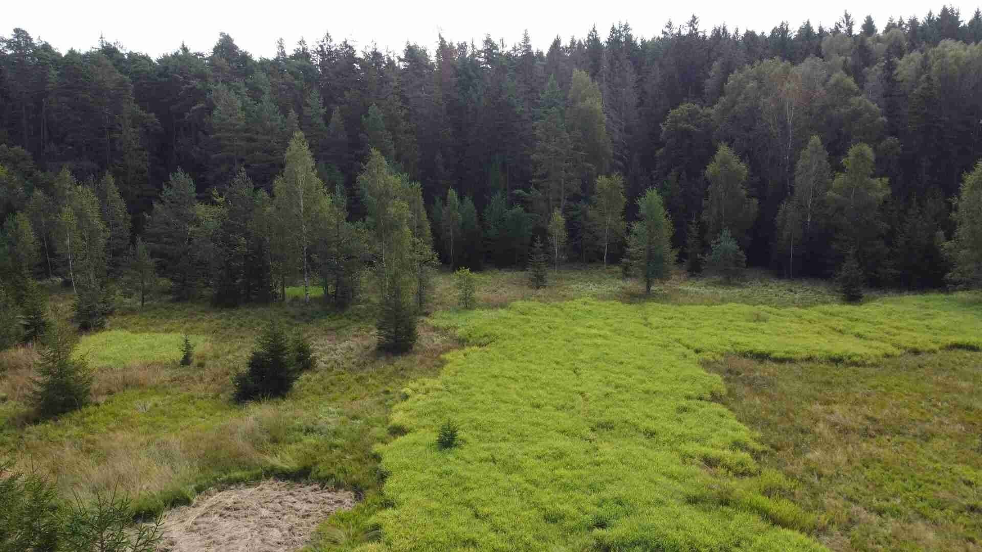 Prodej pozemku 52176 m² - foto 4