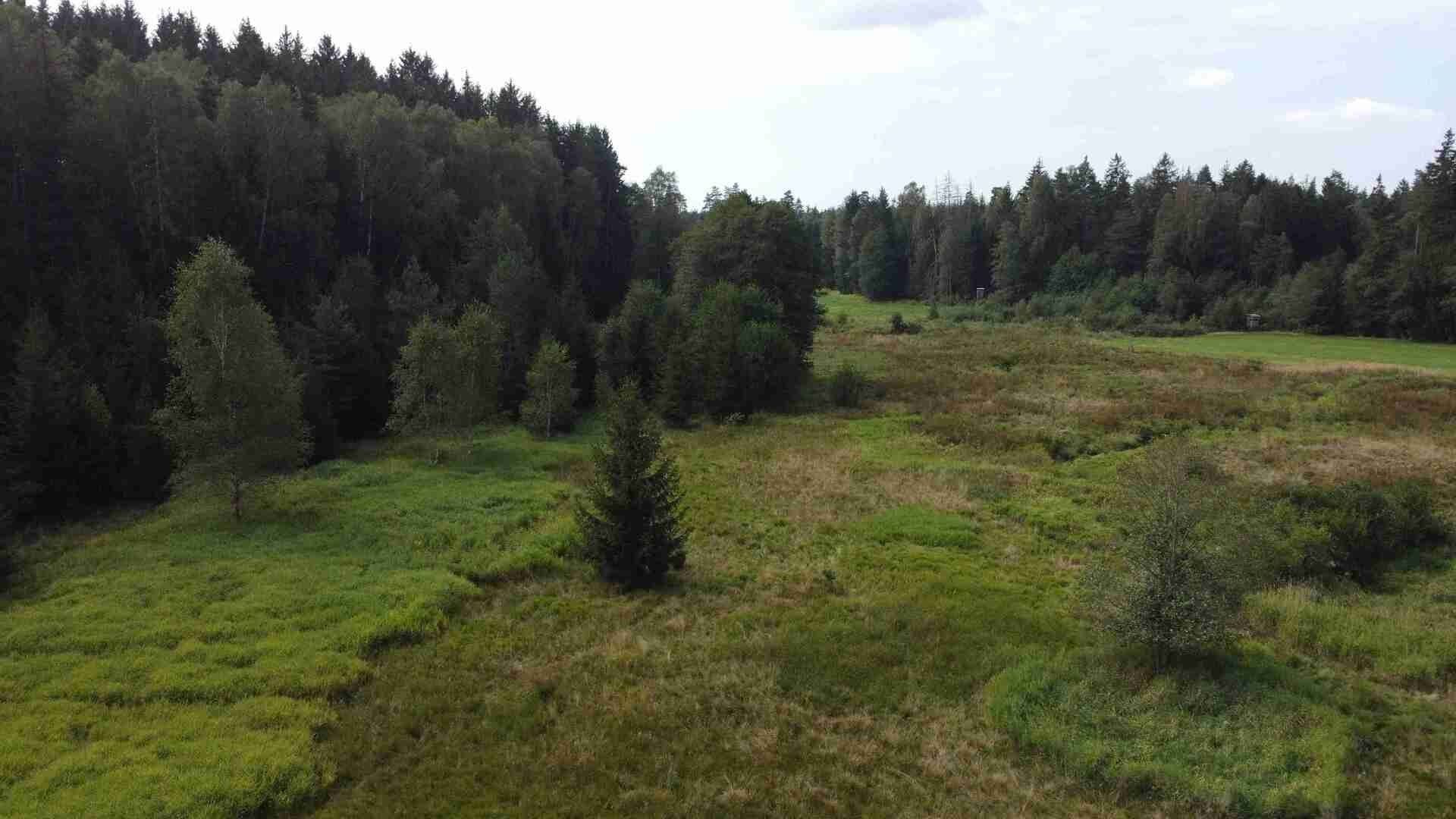 Prodej pozemku 52176 m² - foto 5