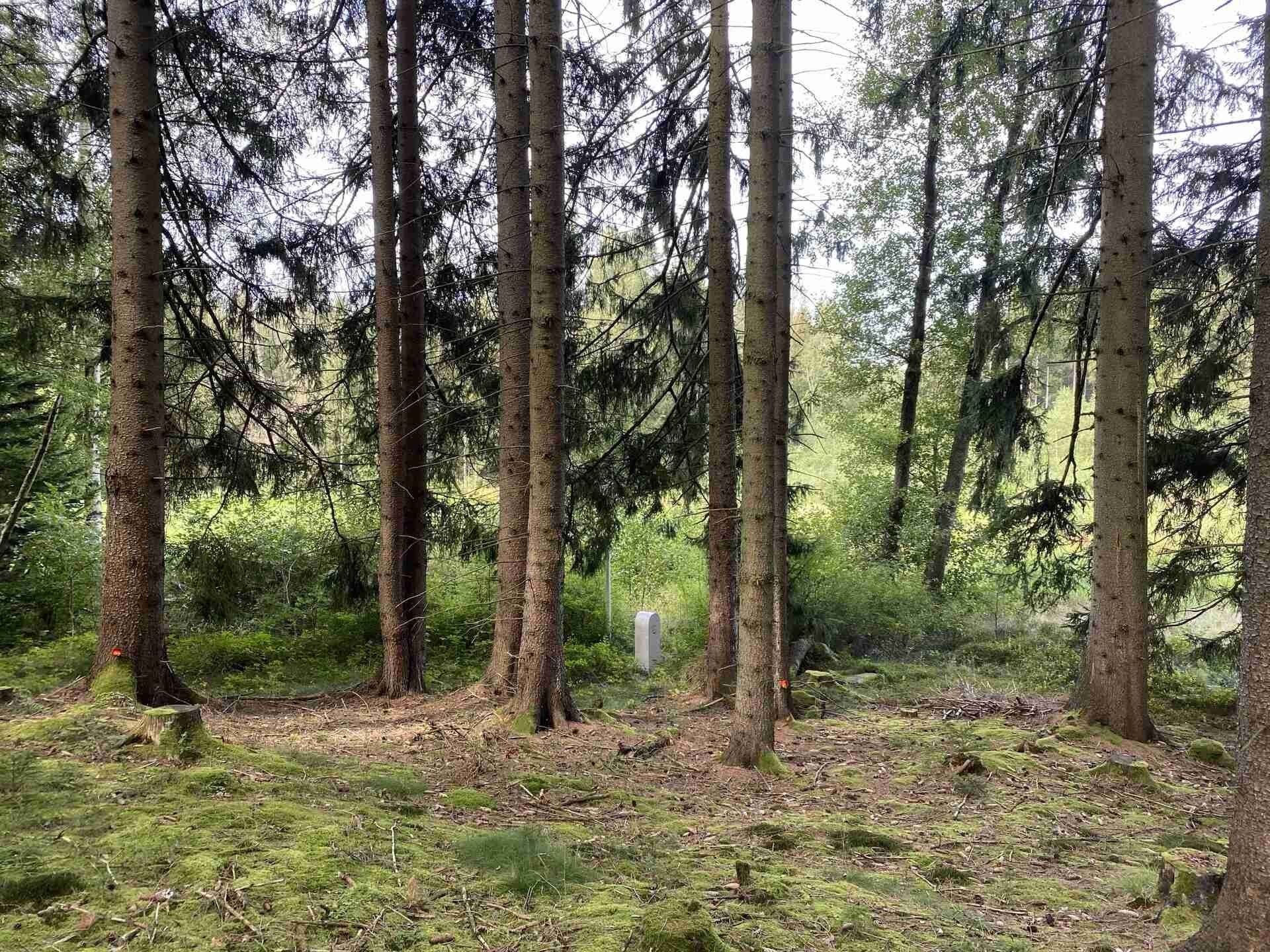 Prodej pozemku 52176 m² - foto 6