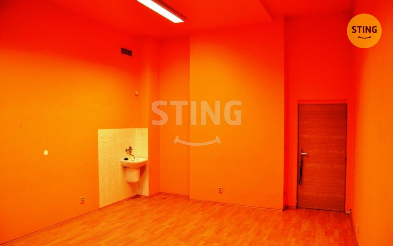 Pronájem komerčního prostoru 500 m² - foto 11