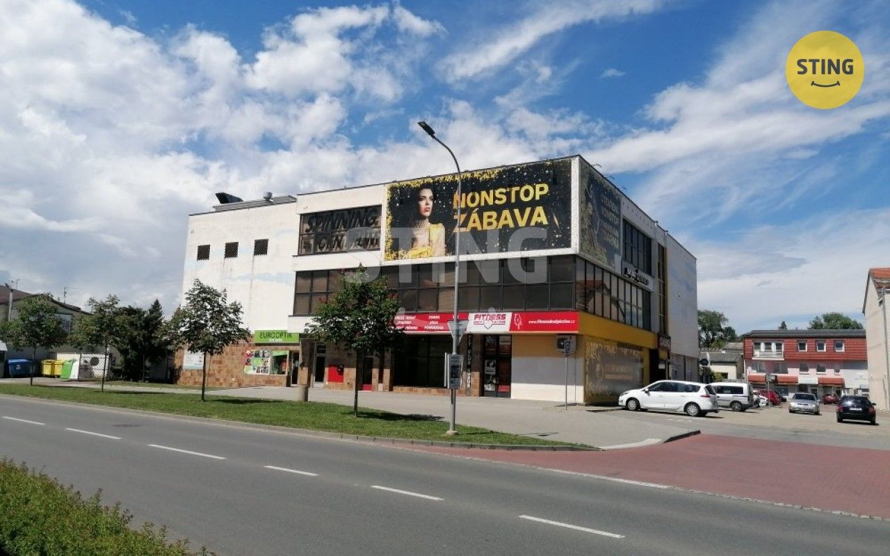Pronájem komerčního prostoru 500 m² - foto 10