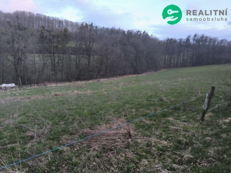 Prodej pozemku 7800 m² - foto 2