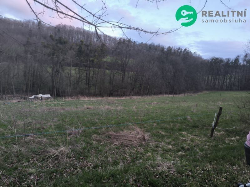 Prodej pozemku 7800 m² - foto 3