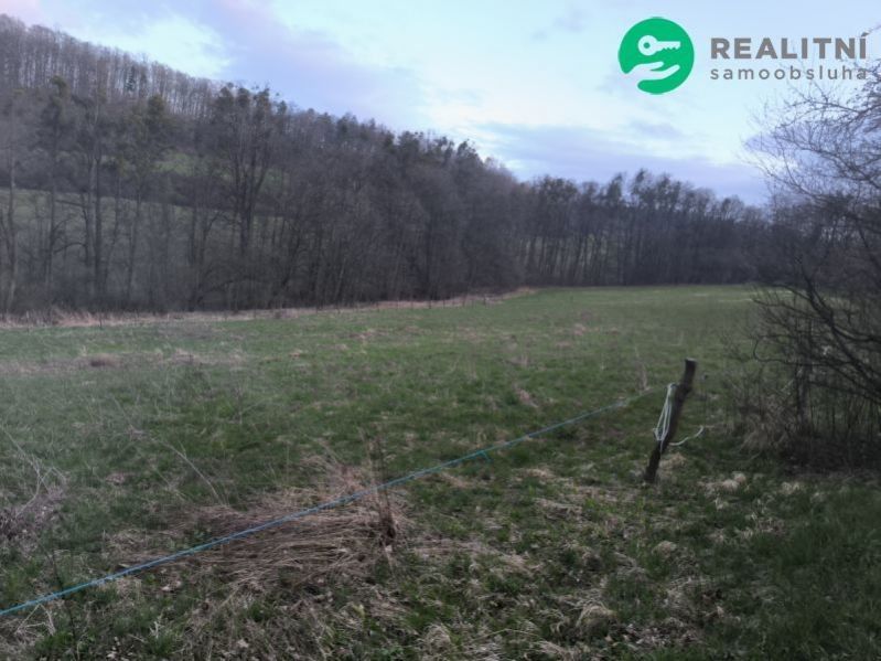 Prodej pozemku 7800 m² - foto 1