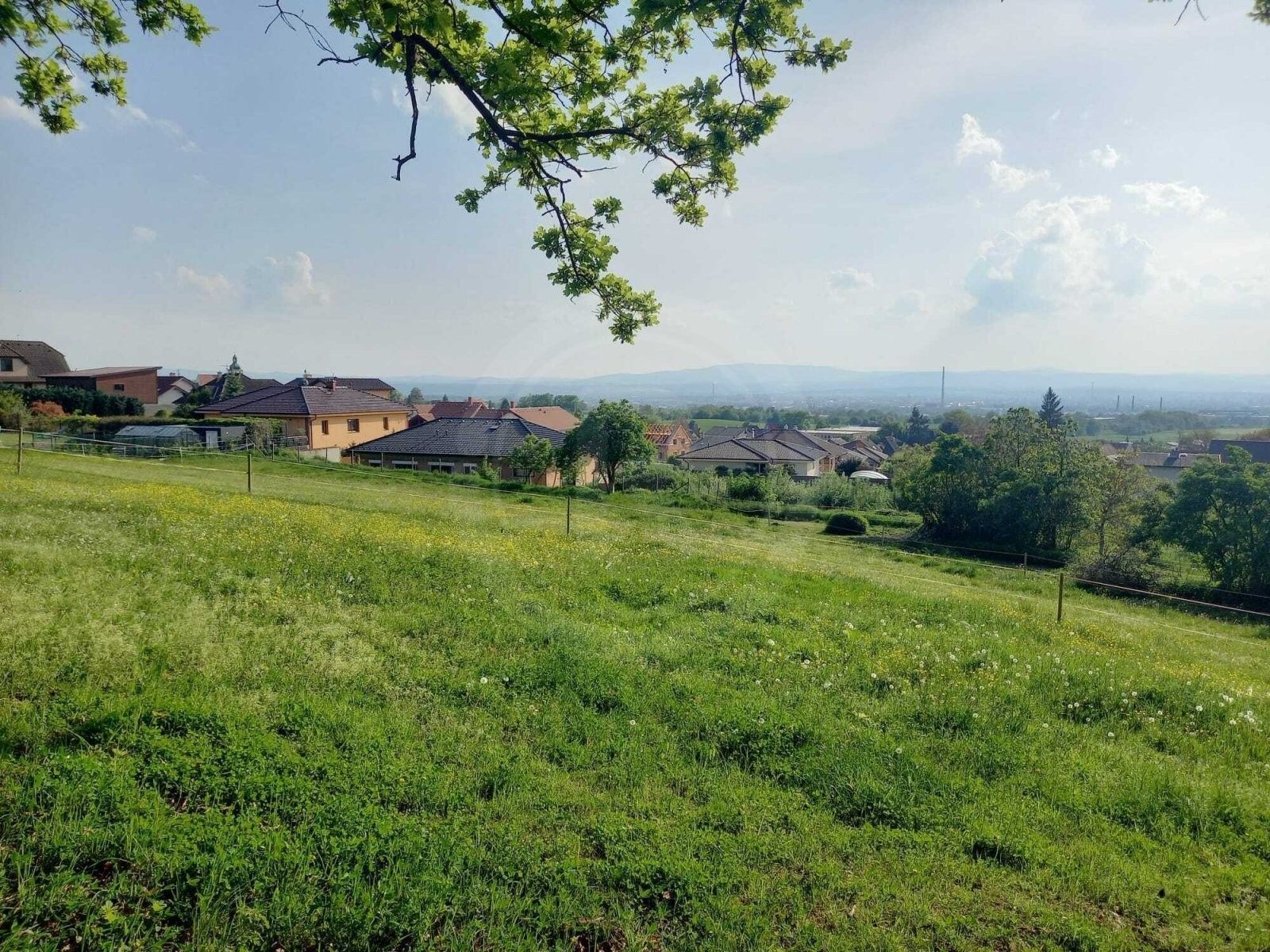 Prodej pozemku 1251 m² - foto 6