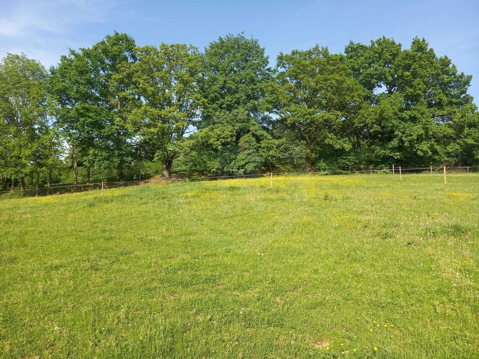 Prodej pozemku 1251 m² - foto 11