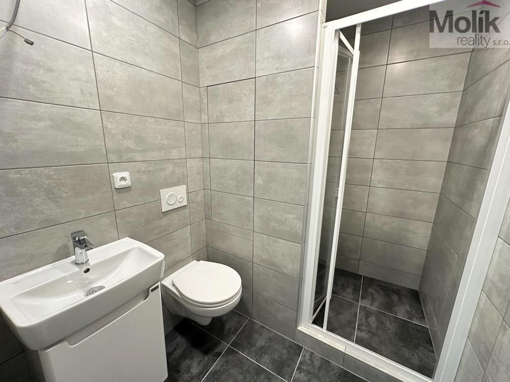 Pronájem bytu 1+1 36 m² - foto 6
