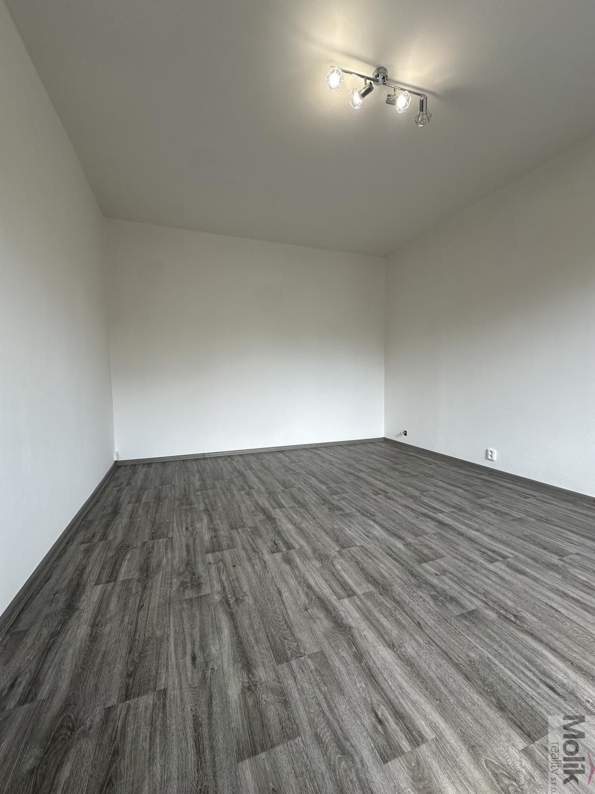 Pronájem bytu 1+1 36 m² - foto 4