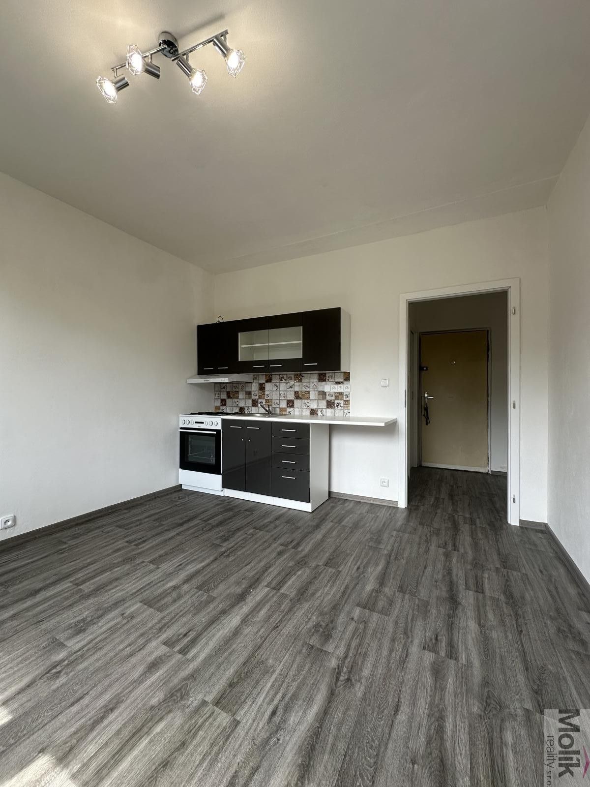 Pronájem bytu 1+1 36 m² - foto 3