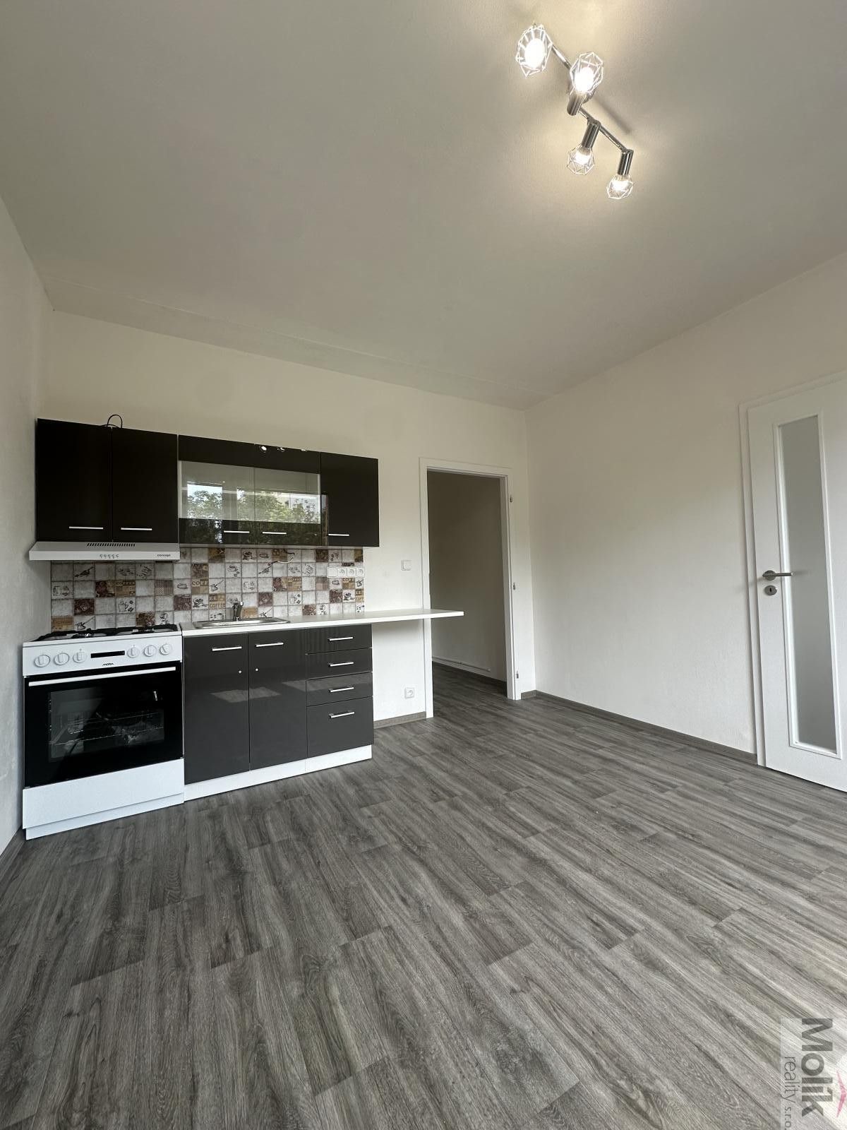Pronájem bytu 1+1 36 m² - foto 5
