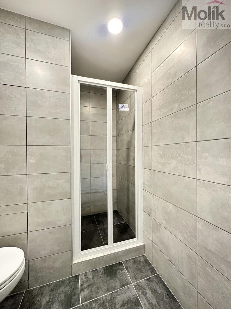 Pronájem bytu 1+1 36 m² - foto 9