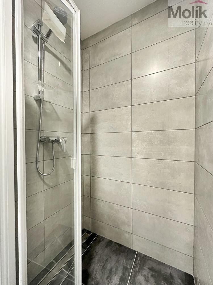 Pronájem bytu 1+1 36 m² - foto 10