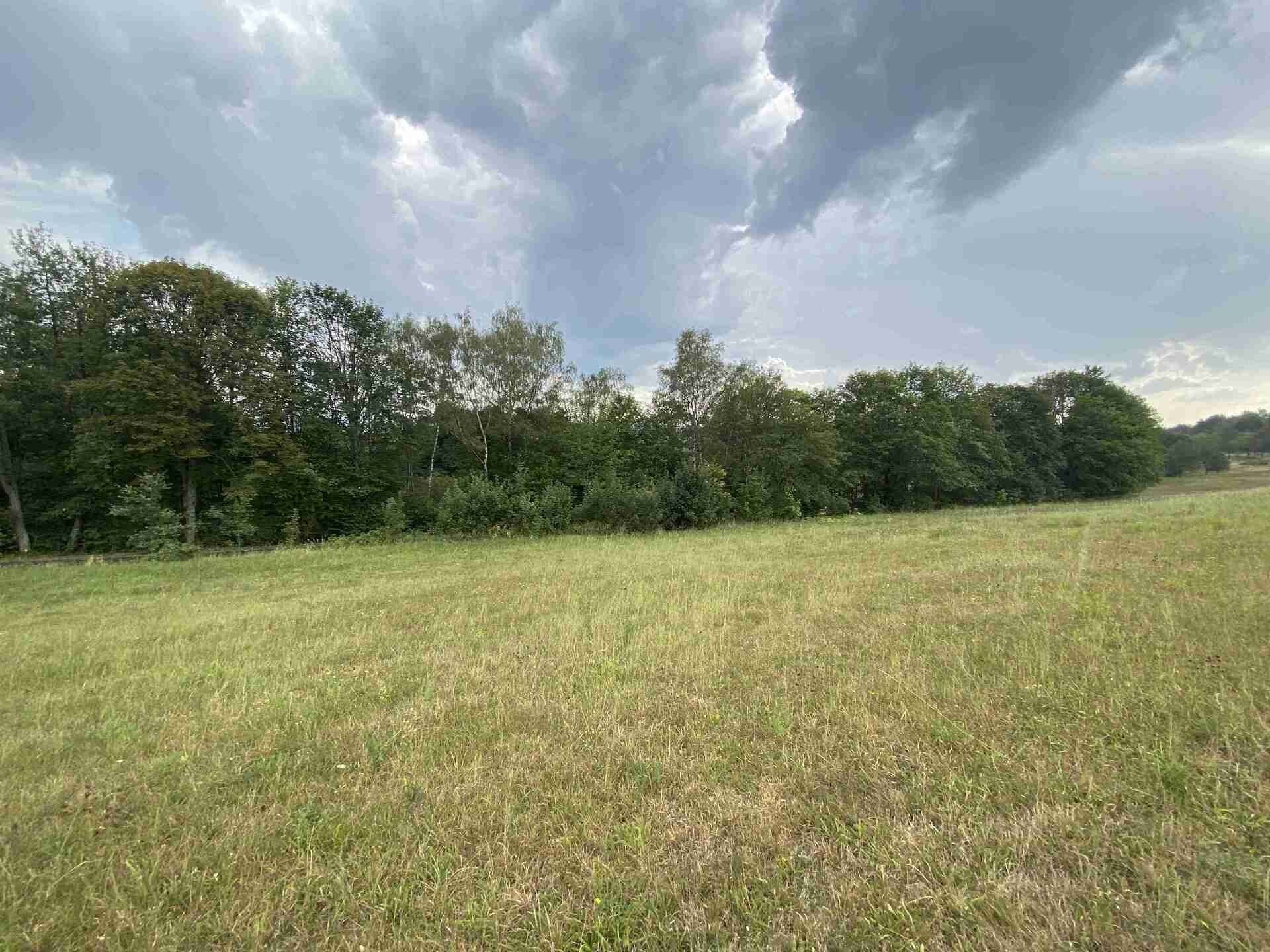 Prodej pozemku 1197 m² - foto 4