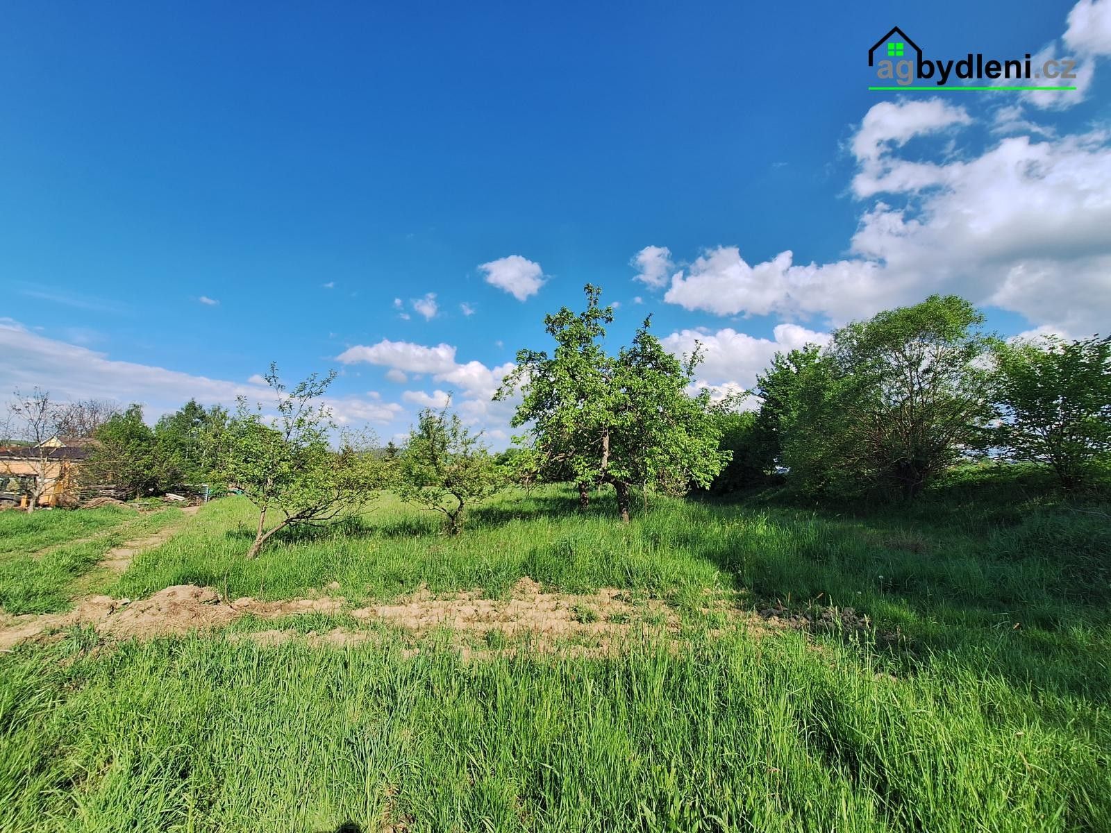 Prodej pozemku 2975 m² - foto 6