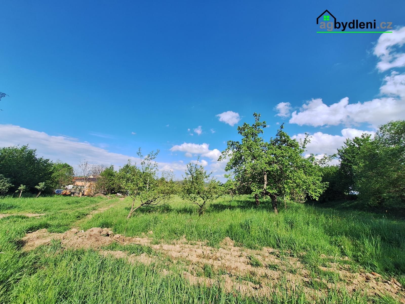 Prodej pozemku 2975 m² - foto 5