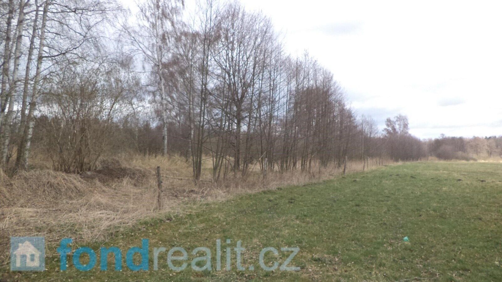 Prodej nemovitosti 19035 m² - foto 3