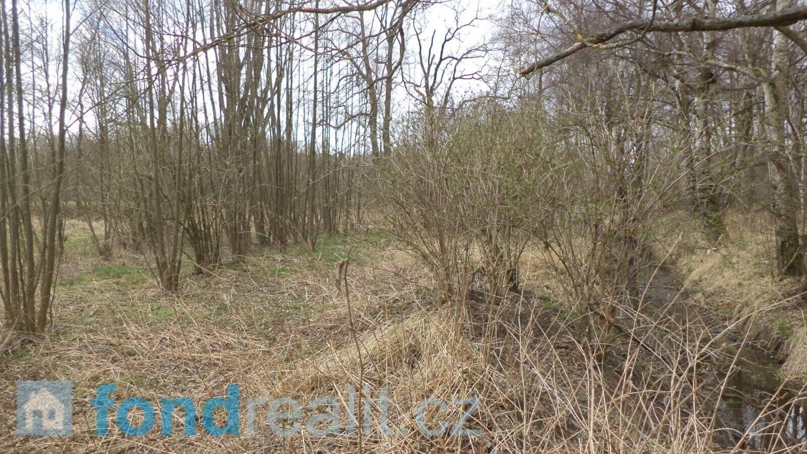 Prodej nemovitosti 19035 m² - foto 1