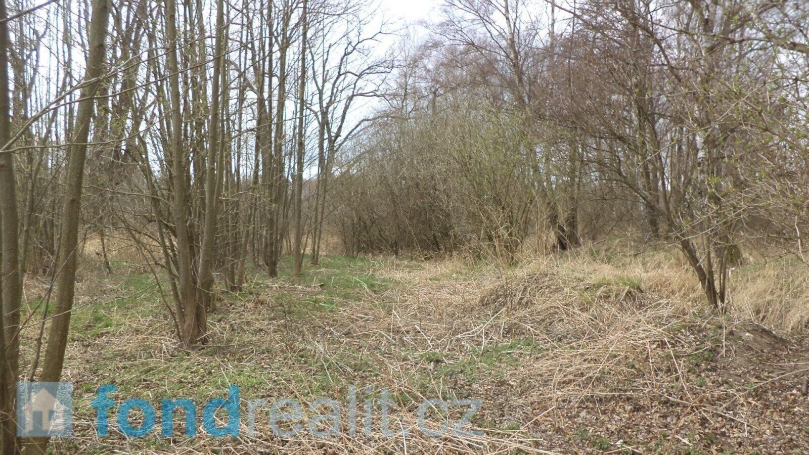 Prodej nemovitosti 19035 m² - foto 2