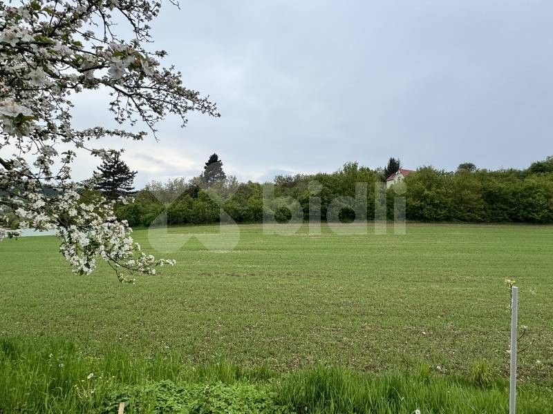 Prodej pozemku 3665 m² - foto 4
