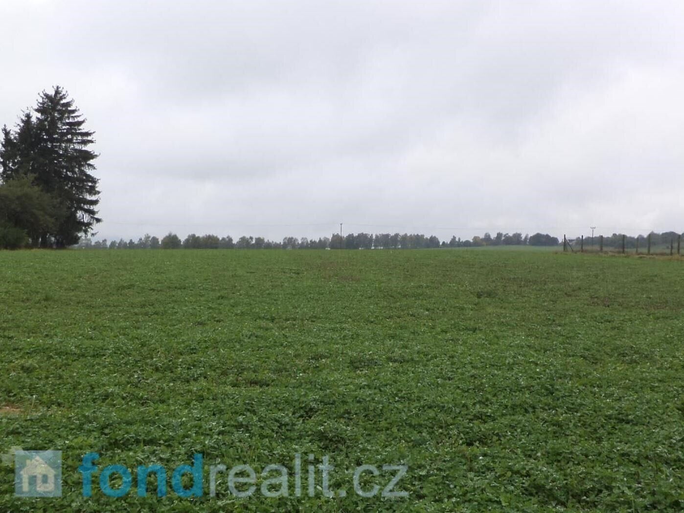 Prodej nemovitosti 497 m² - foto 3