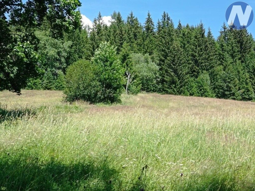 Prodej pozemku 22888 m² - foto 1