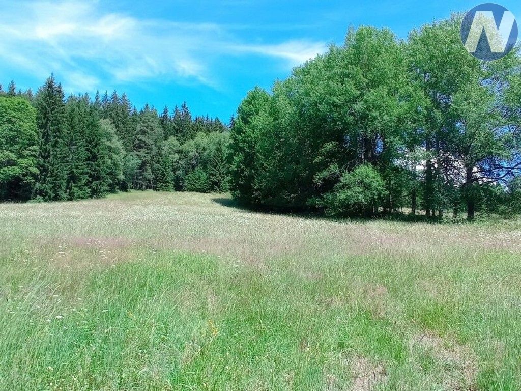 Prodej pozemku 22888 m² - foto 5