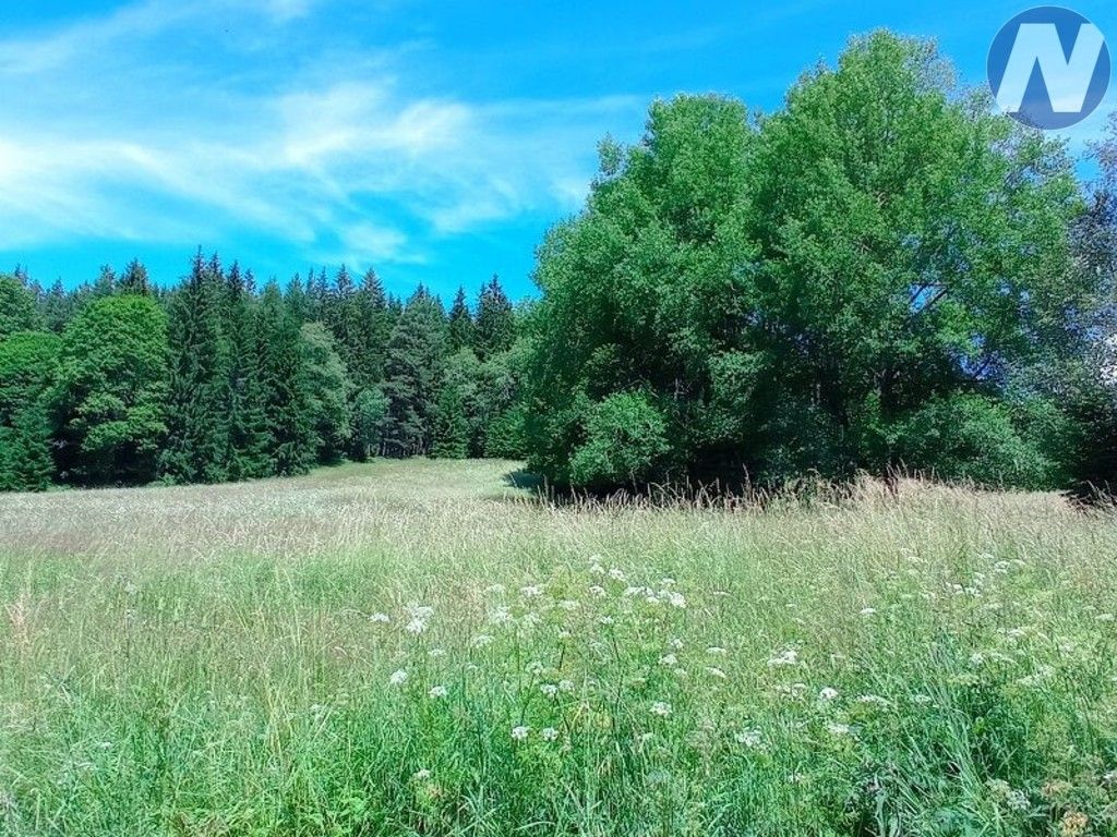 Prodej pozemku 22888 m² - foto 6