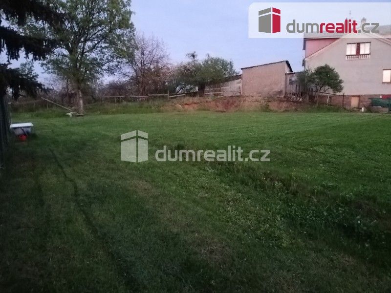 Pronájem nemovitosti 1168 m² - foto 5