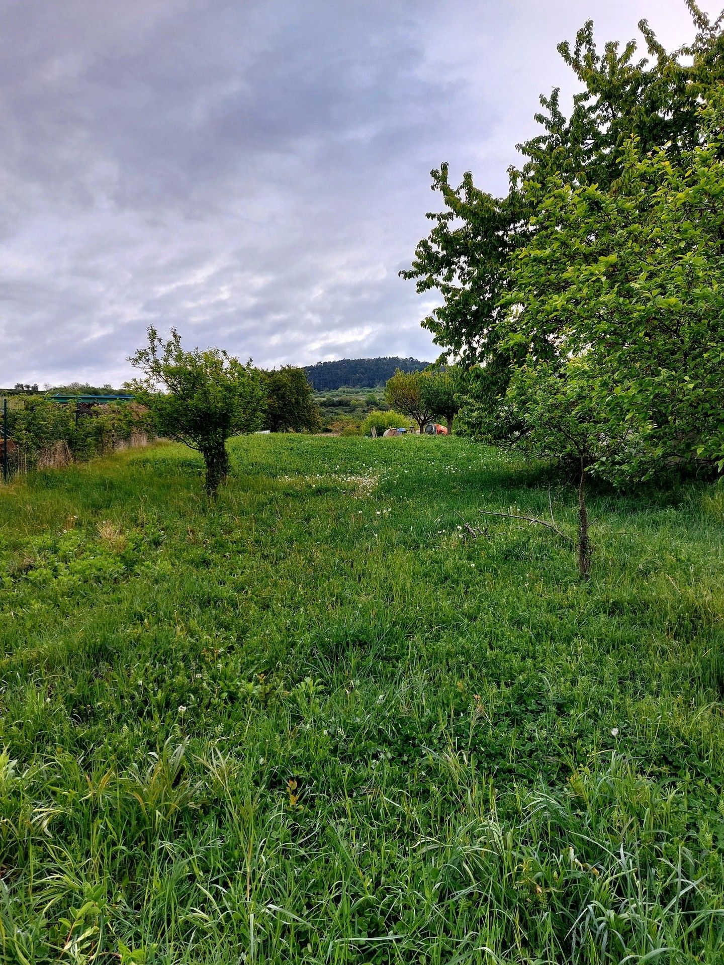 Prodej pozemku 2224 m² - foto 3