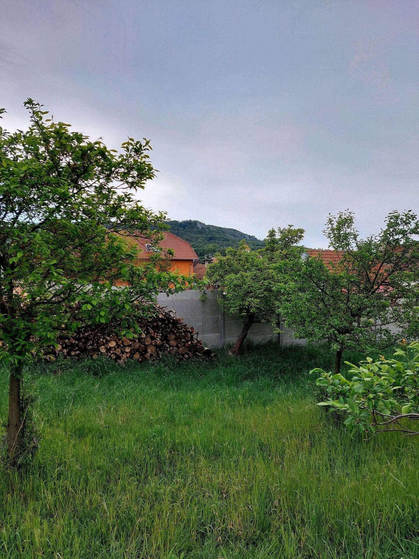 Prodej pozemku 2224 m² - foto 6