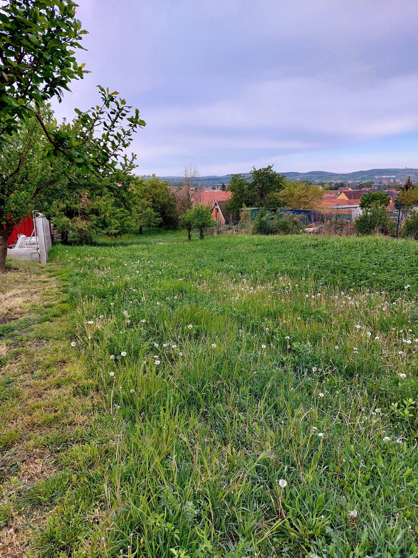 Prodej pozemku 2224 m² - foto 5