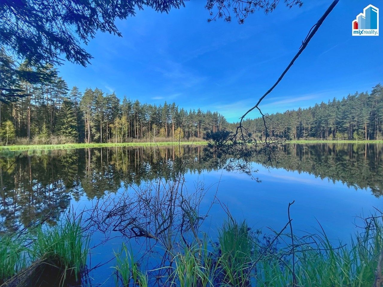 Prodej nemovitosti 16545 m² - foto 7