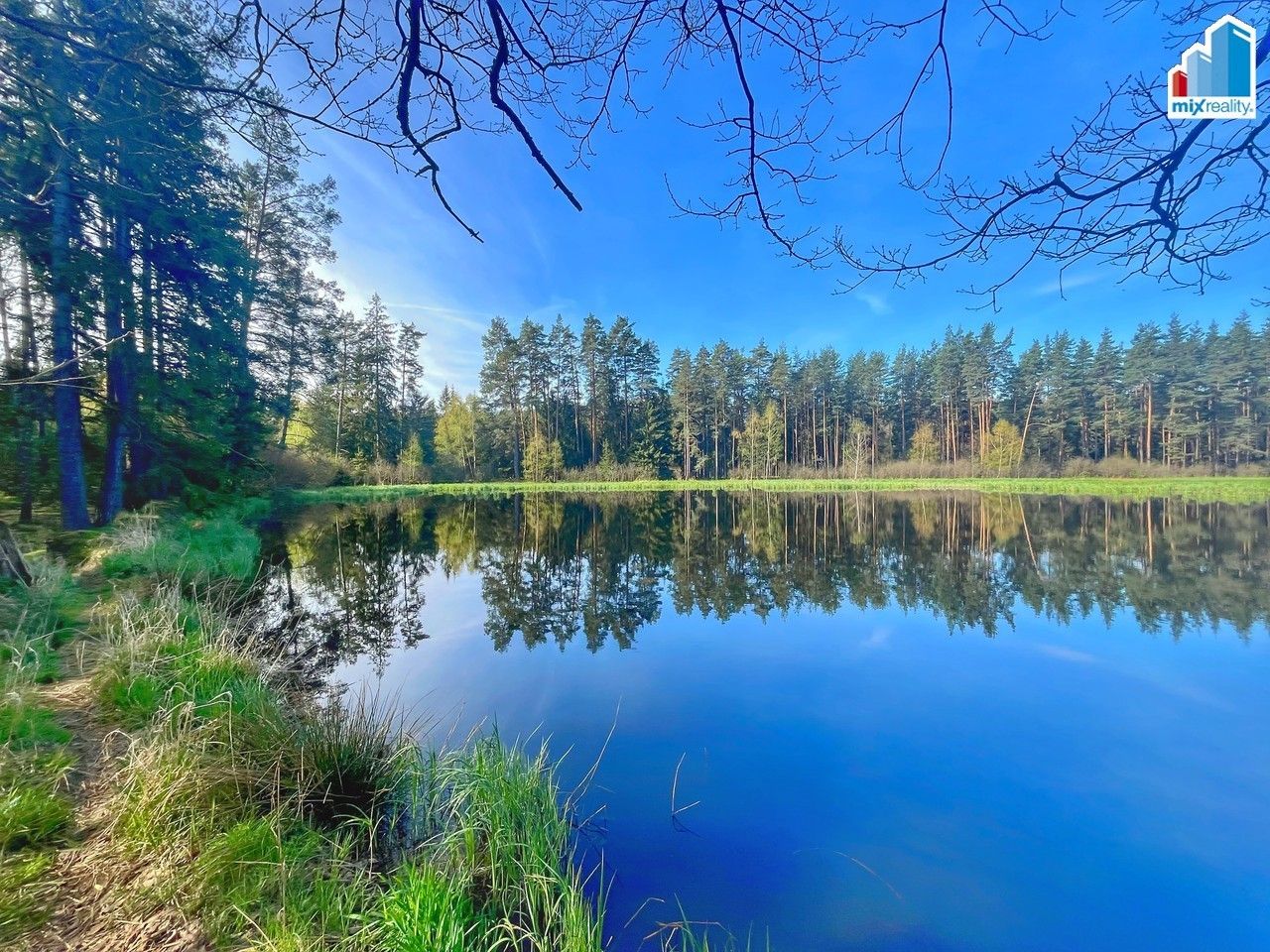 Prodej nemovitosti 16545 m² - foto 8