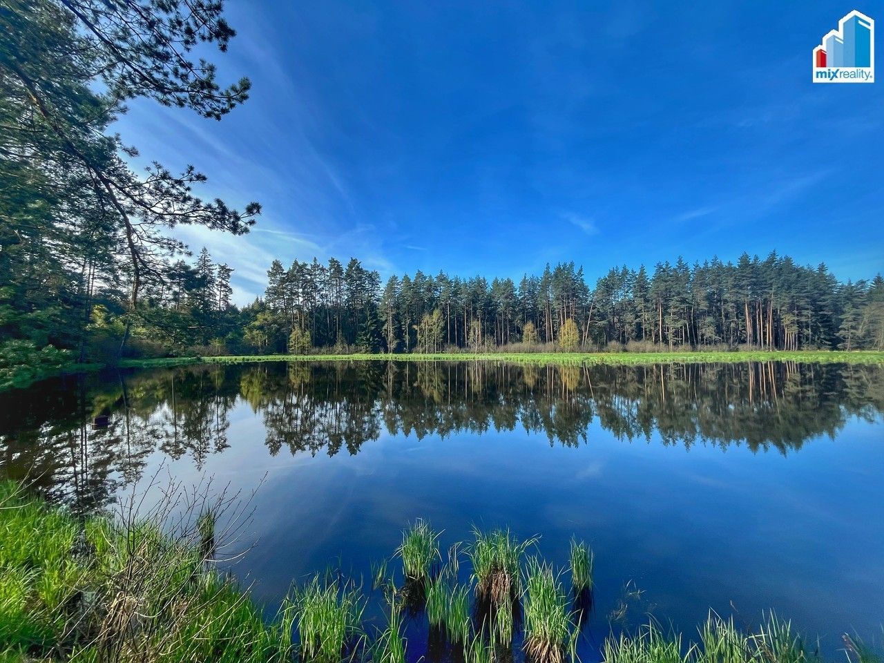 Prodej nemovitosti 16545 m² - foto 5