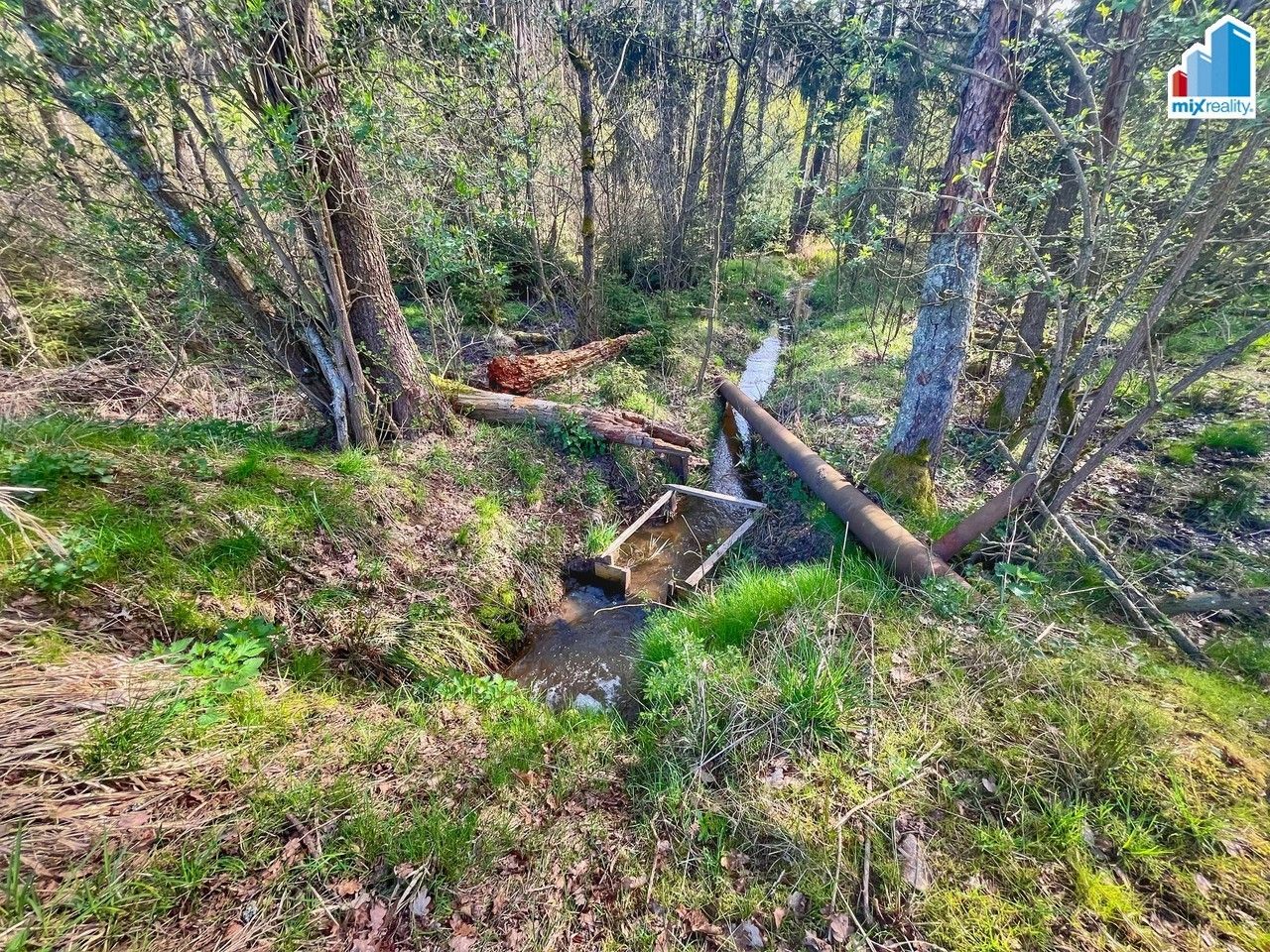 Prodej nemovitosti 16545 m² - foto 10
