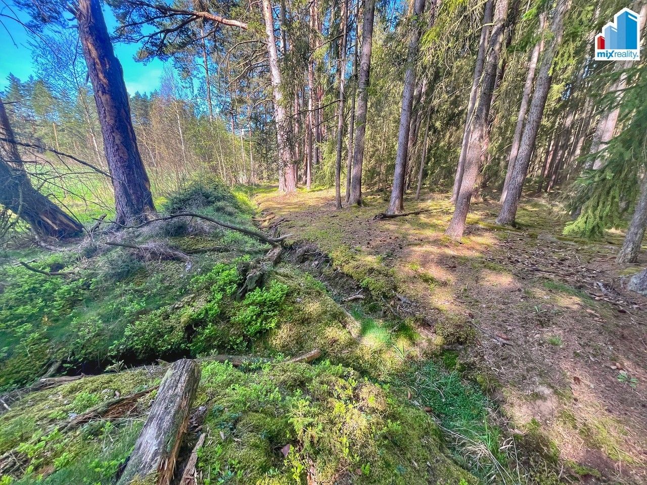 Prodej nemovitosti 16545 m² - foto 11