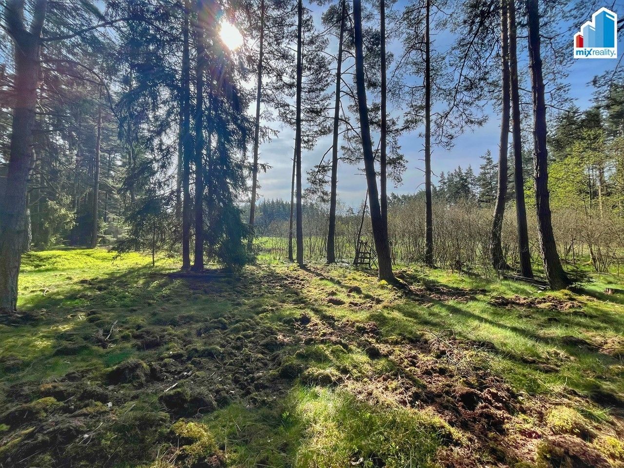 Prodej nemovitosti 16545 m² - foto 13