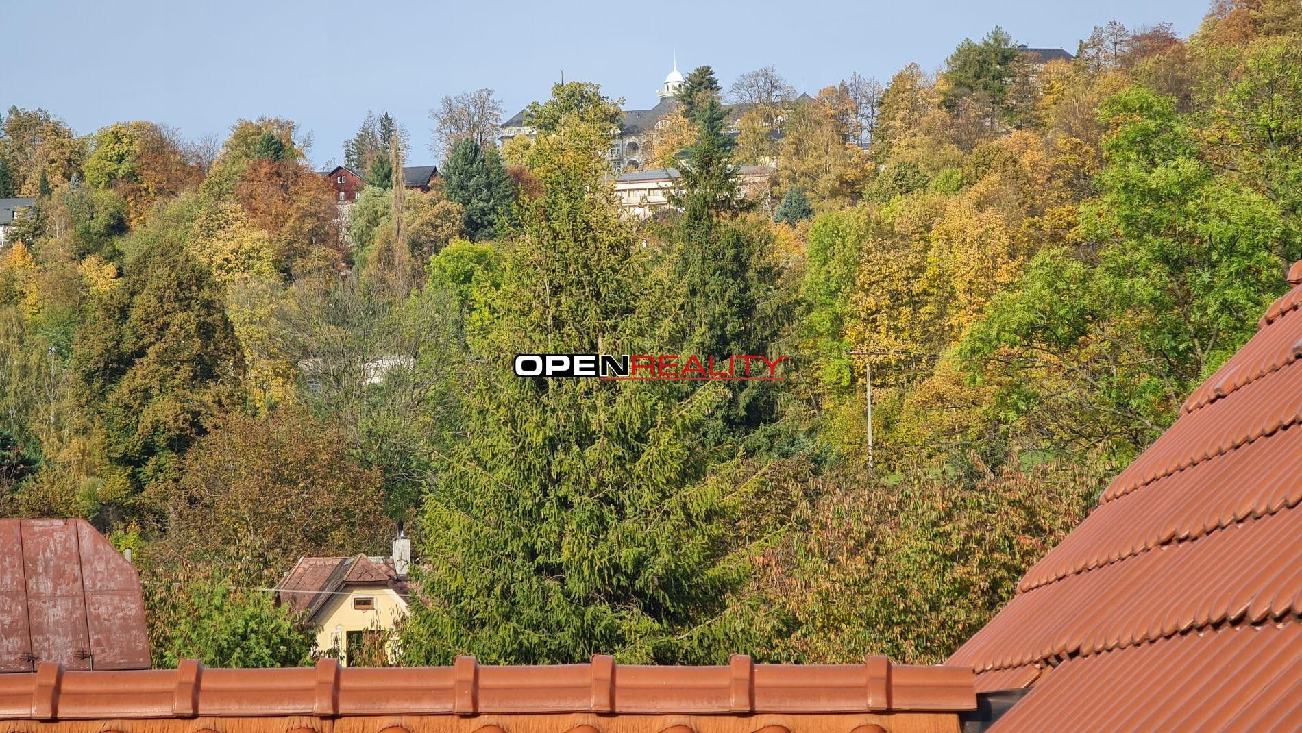 Prodej domu 750 m² - foto 26